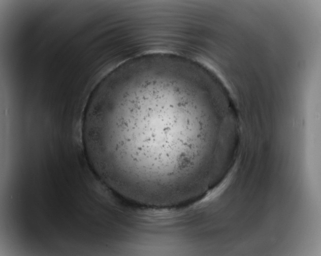 X0000089381121200706151159