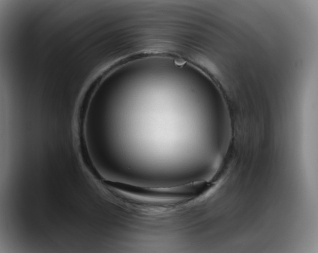 X0000089381122200706151159