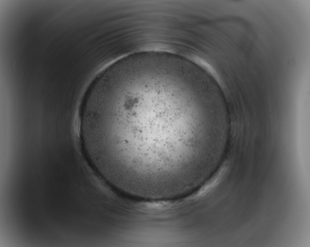 X0000089381125200706151159