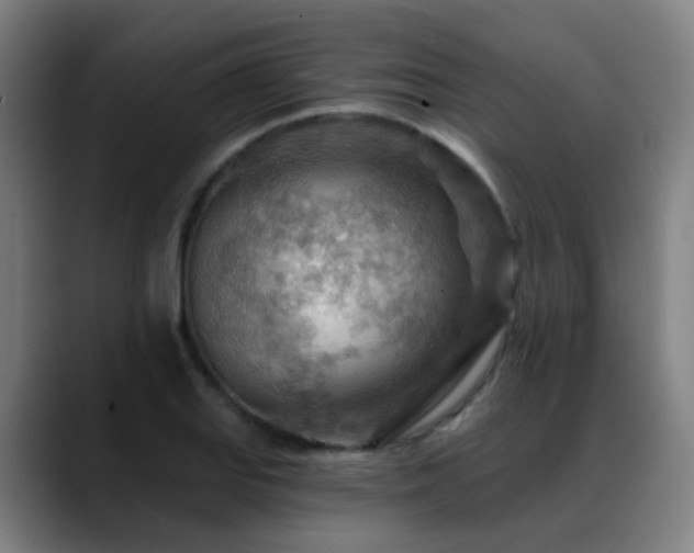X0000089381127200706151159