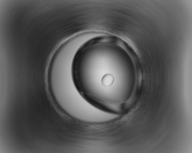 X0000089381128200706151159
