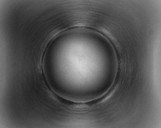 X0000089381129200706151159