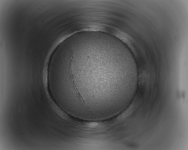 X0000089381130200706151159
