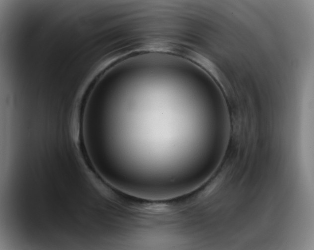 X0000089381131200706151159
