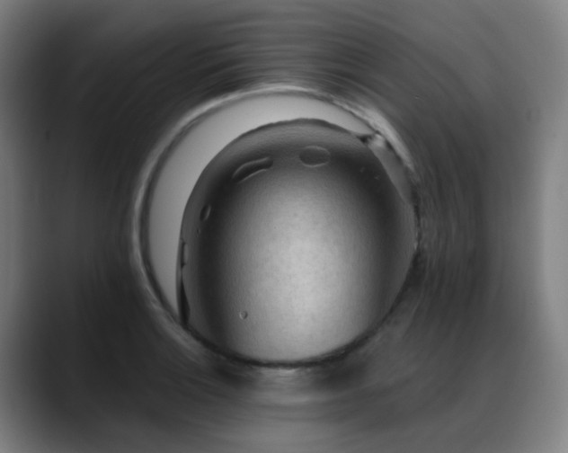 X0000089381132200706151159