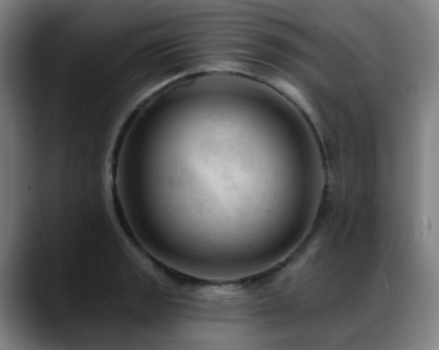 X0000089381133200706151159