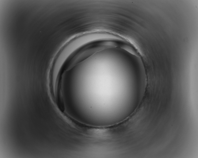 X0000089381134200706151159