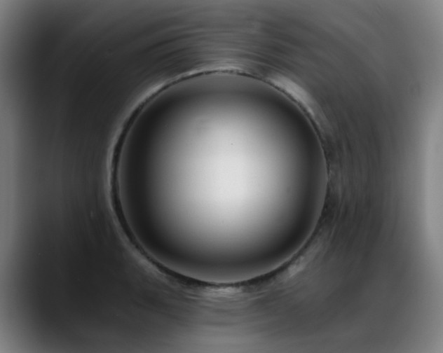 X0000089381135200706151159