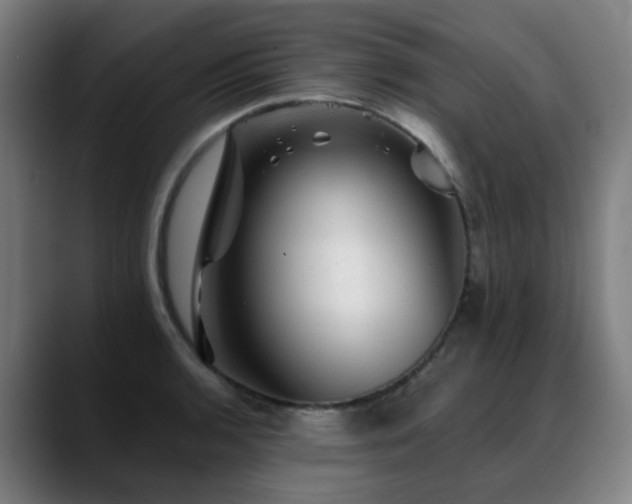 X0000089381136200706151159