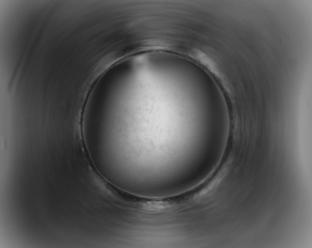 X0000089381137200706151159