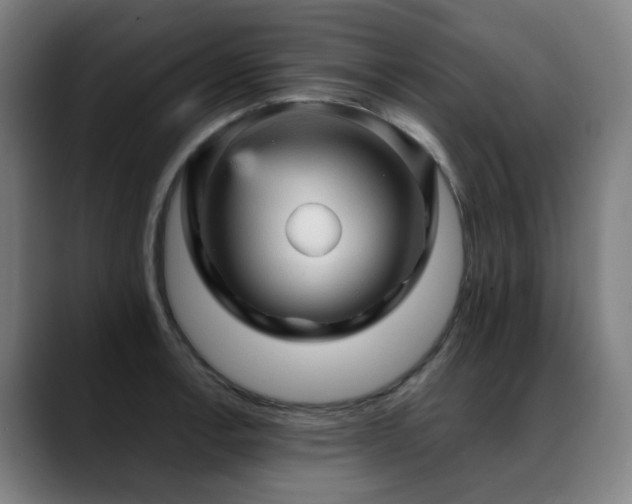 X0000089381138200706151159