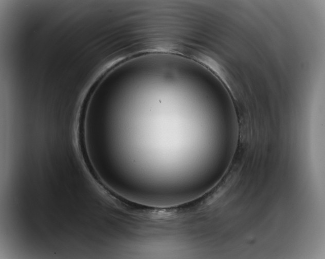 X0000089381139200706151159