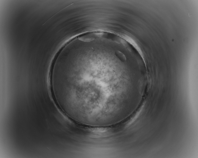 X0000089381141200706151159