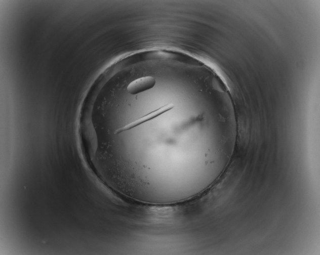 X0000089381142200706151159