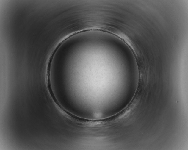 X0000089381143200706151159