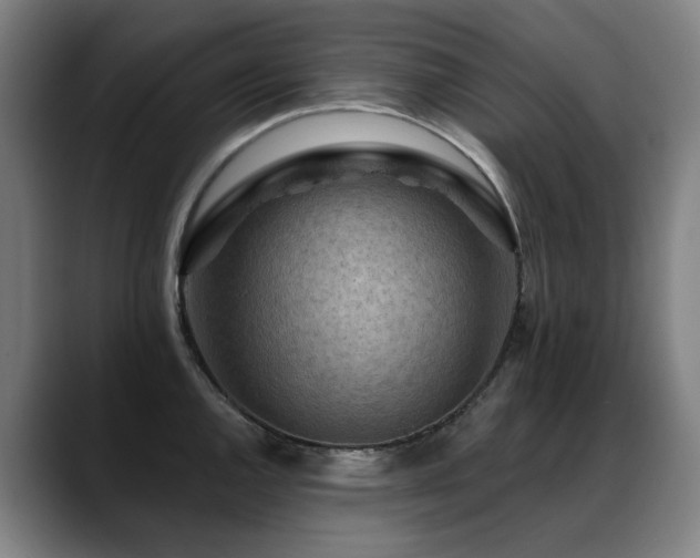 X0000089381144200706151159
