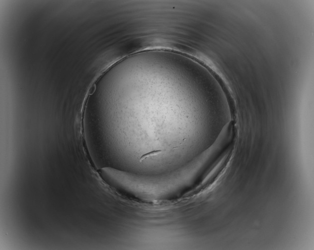 X0000089381145200706151159