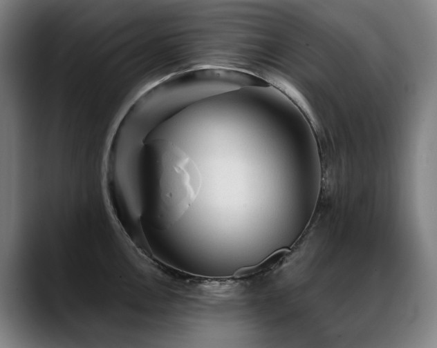 X0000089381146200706151159