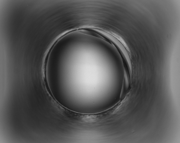 X0000089381148200706151159