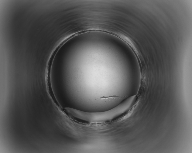 X0000089381149200706151159