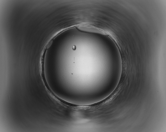 X0000089381151200706151159