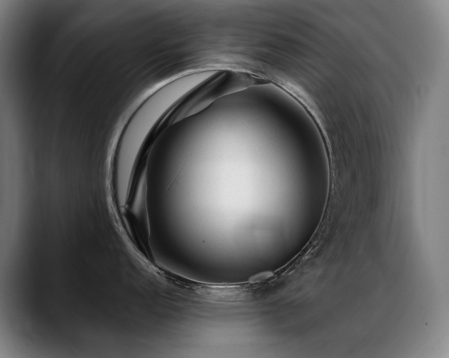 X0000089381152200706151159