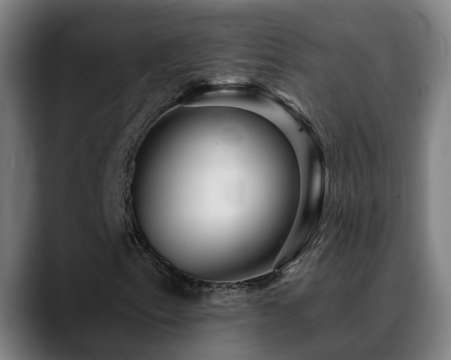 X0000089381153200706151159