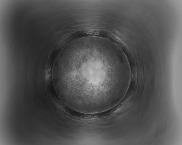X0000089381154200706151159
