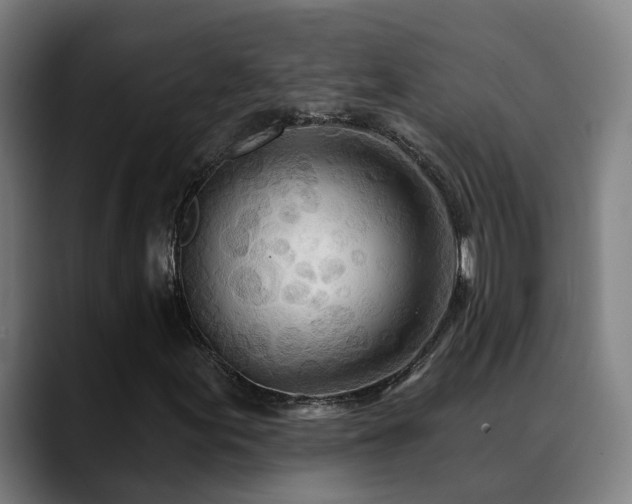 X0000089381155200706151159
