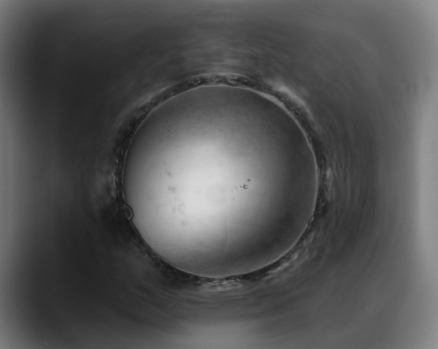 X0000089381159200706151159
