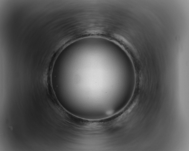 X0000089381162200706151159