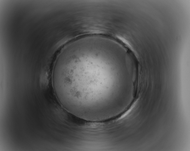 X0000089381163200706151159