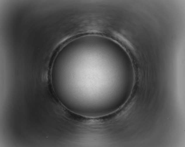 X0000089381166200706151159