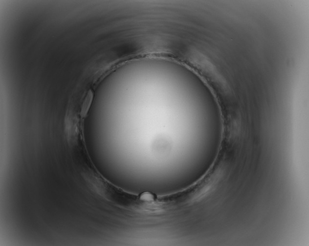X0000089381169200706151159