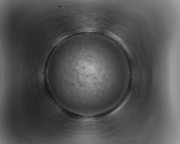 X0000089381170200706151159