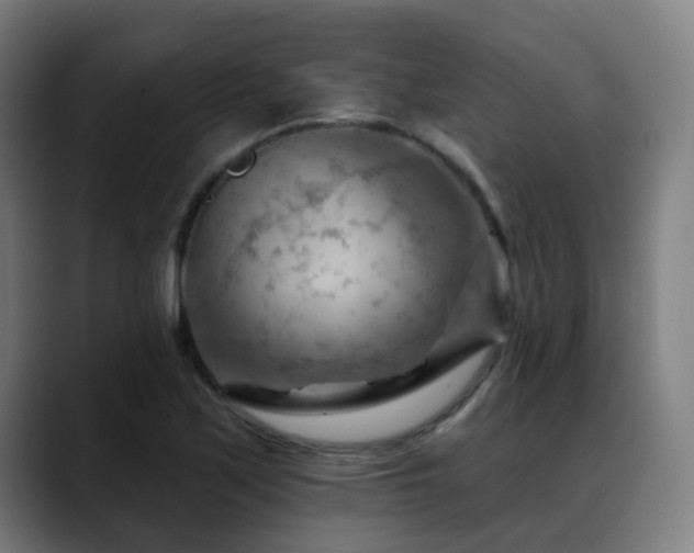 X0000089381171200706151159