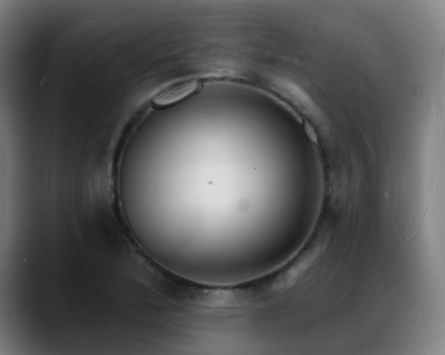 X0000089381172200706151159
