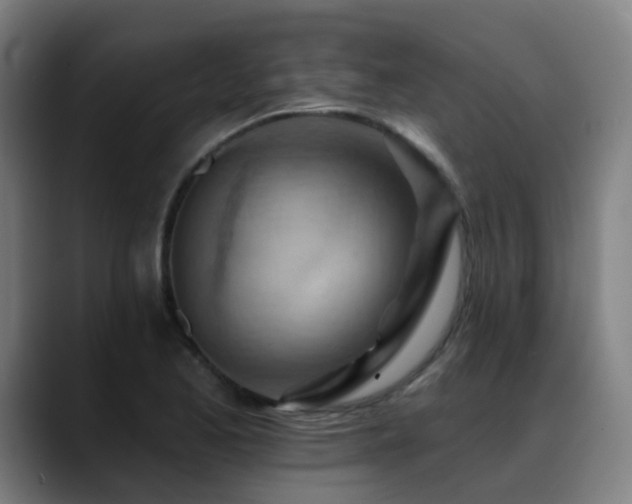 X0000089381173200706151159