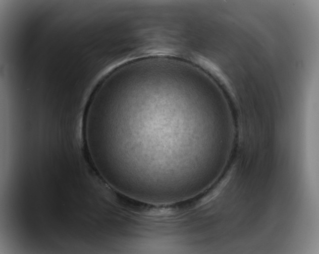 X0000089381174200706151159