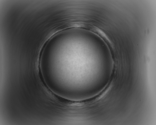 X0000089381178200706151159