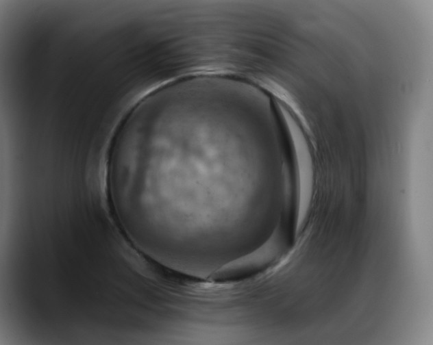 X0000089381179200706151159