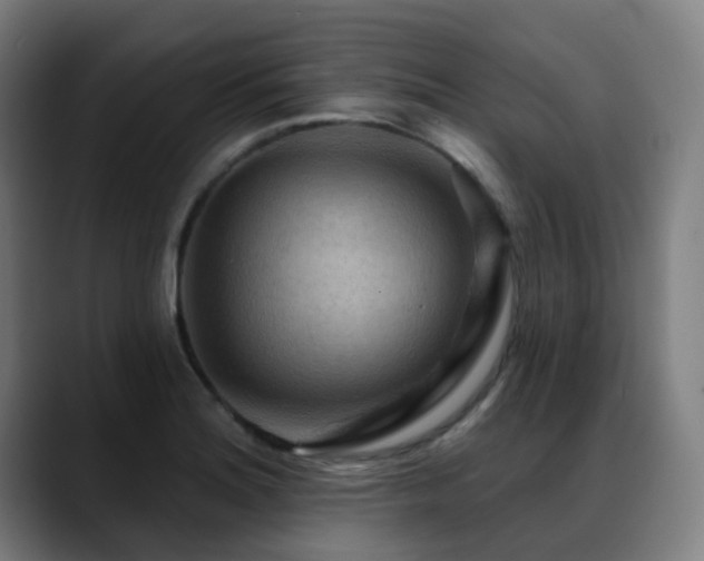 X0000089381180200706151159