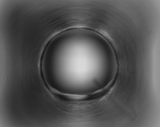 X0000089381181200706151159