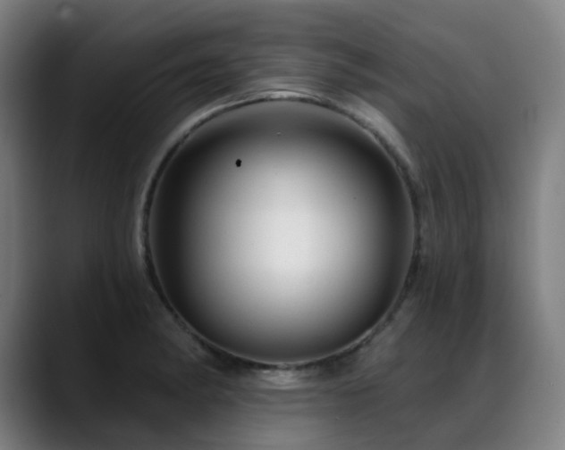 X0000089381182200706151159