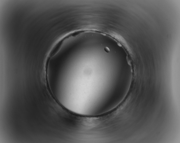 X0000089381184200706151159
