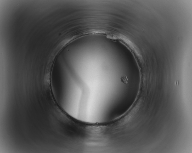 X0000089381185200706151159