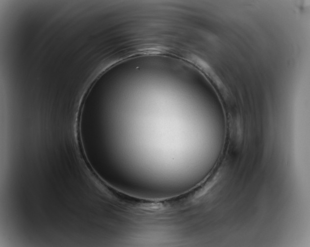 X0000089381186200706151159