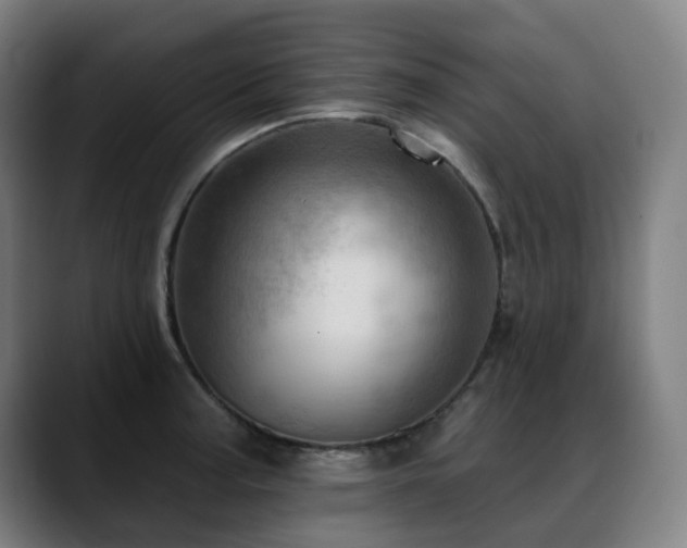 X0000089381187200706151158