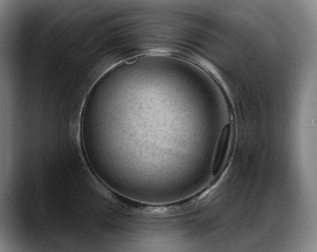 X0000089381194200706151158