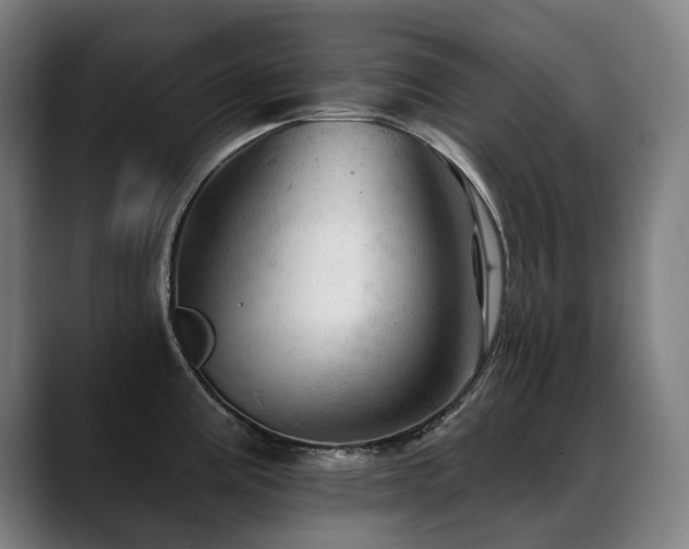 X0000089381195200706151158